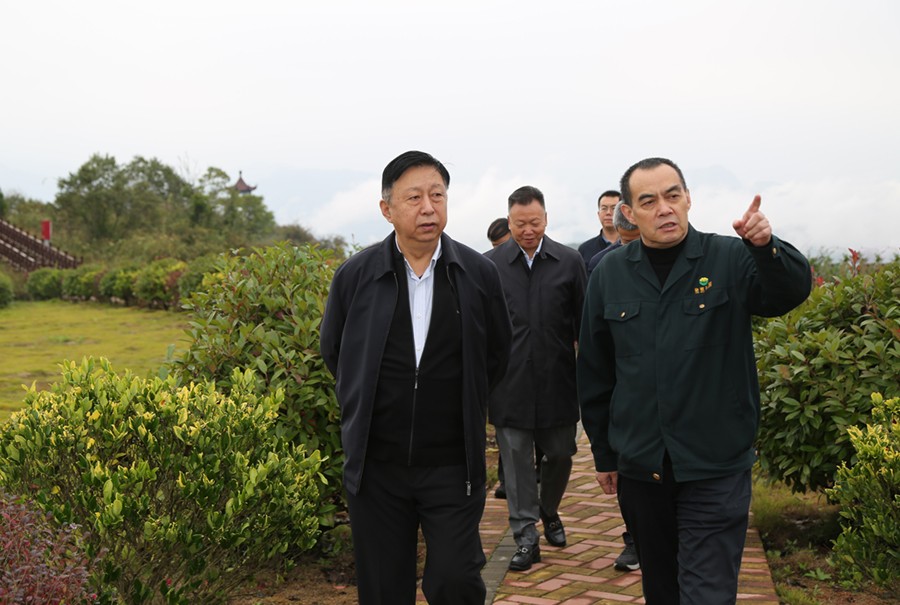 19-2021年10月，原國土資源部副部長汪民蒞臨公司調(diào)研。.jpg