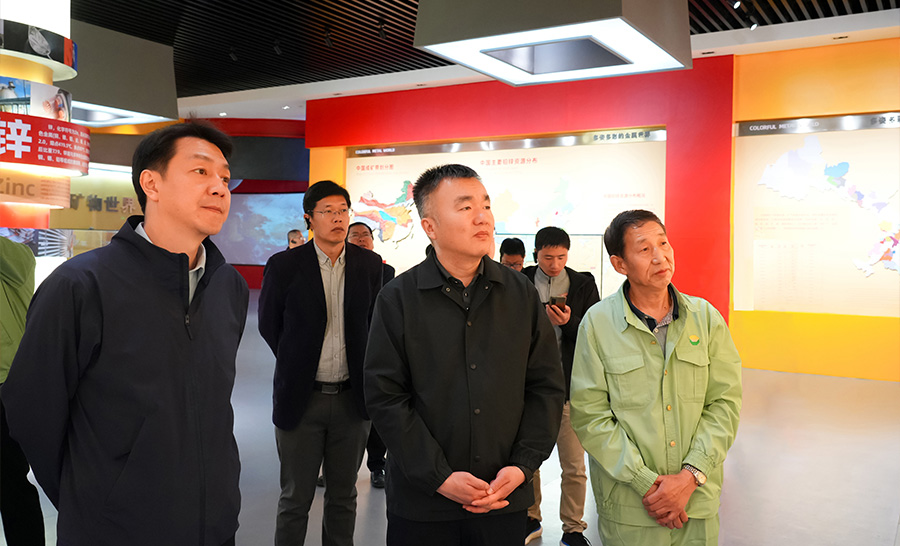 10.4-2024年04月，自然資源部礦保司副司長王博蒞臨公司調(diào)研。.jpg