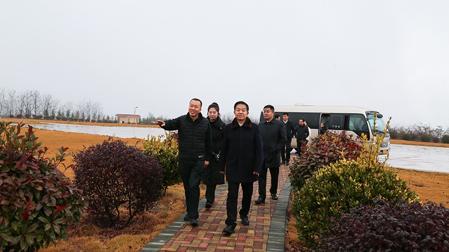 45-2020年12月，省高級人民法院黨組成員、副院長任建國蒞臨金徽股份調(diào)研知識產(chǎn)權(quán)司法保護(hù)工作。.jpg